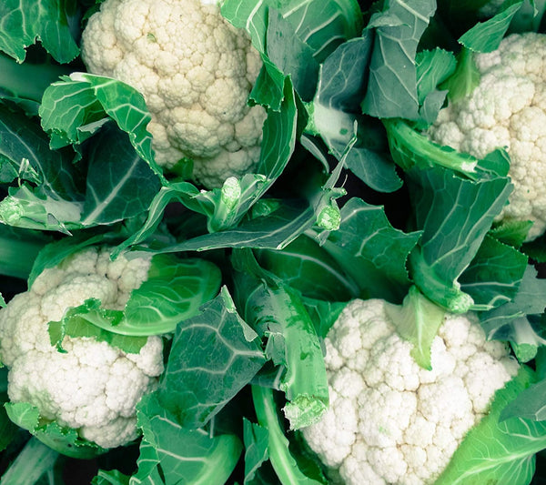 Cauliflower Self Blanching Canadian Organic Seed Company