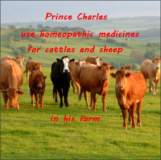 Prince Charles address on the Future of Food