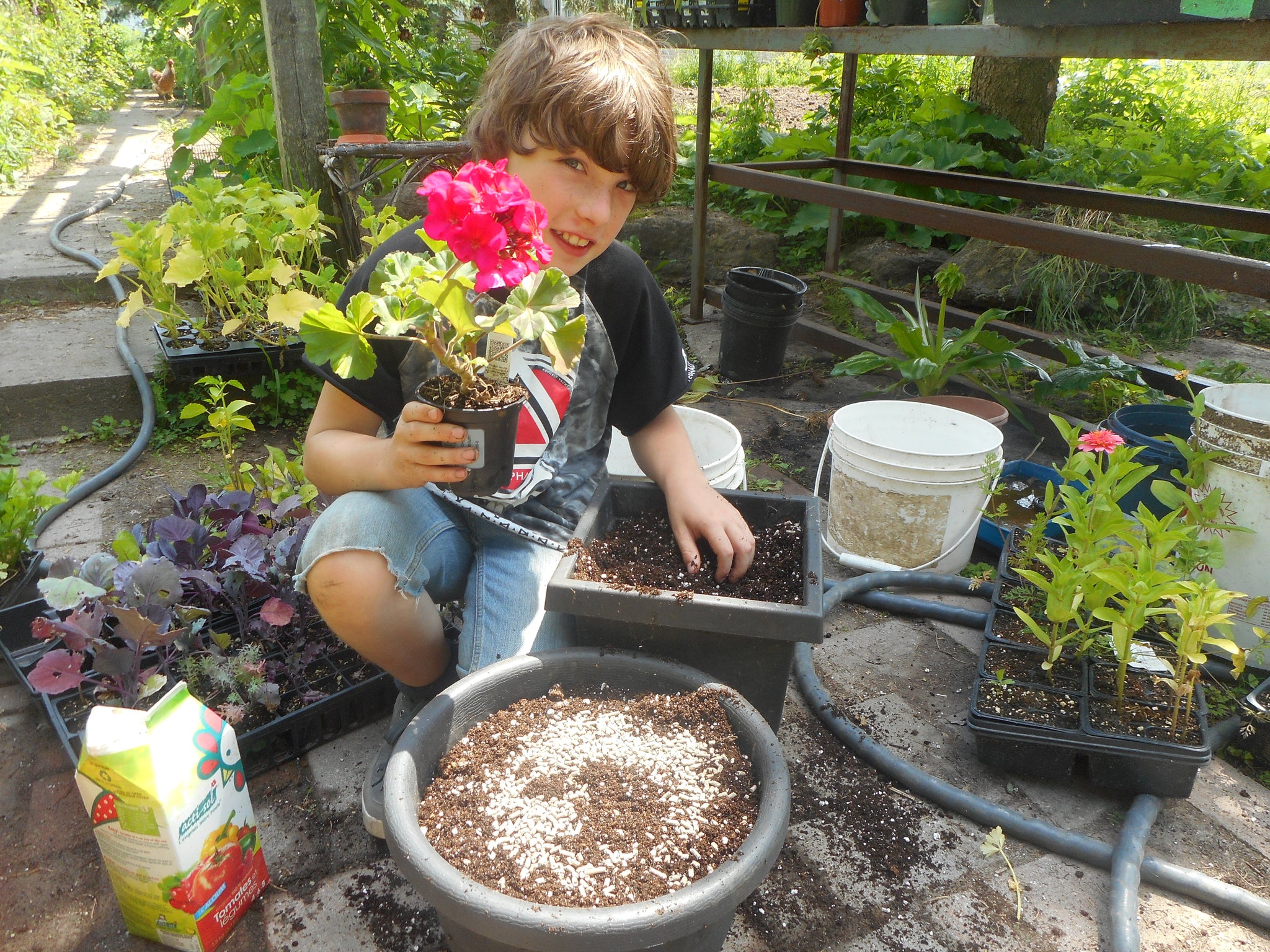 Seed starting 101- modus operandi! 