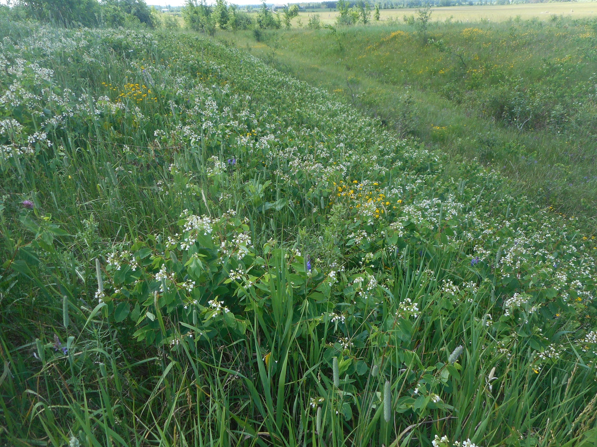 ORC-Organic Research Centre in Scotland