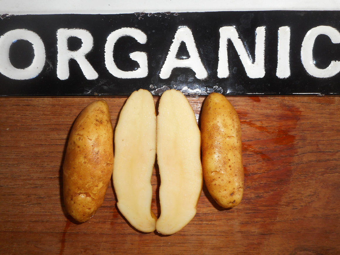Potato-Austrian Crescent (Organic)