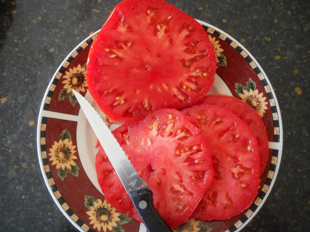 Tomato-Brandywine Red  Improved (Organic)