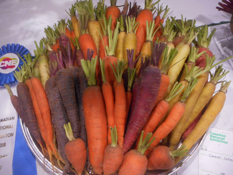 Carrot-Captain Peacock's Crazy Carrot Mix-pelleted seed