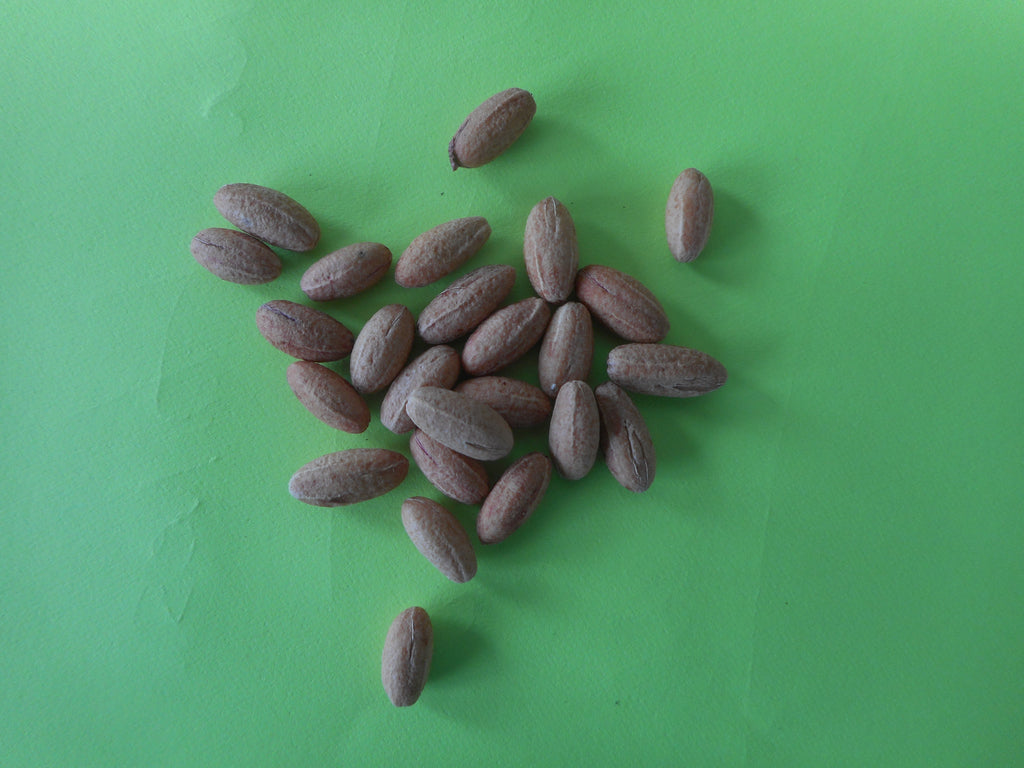 Cornus mass-seeds
