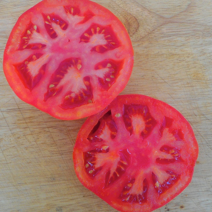Tomato, Irish Supreme (Organic)