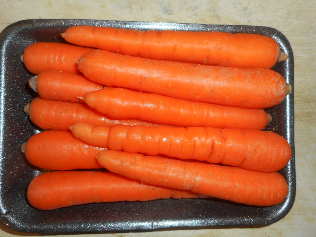 Carrot- Nandy Nantes -pelleted seed