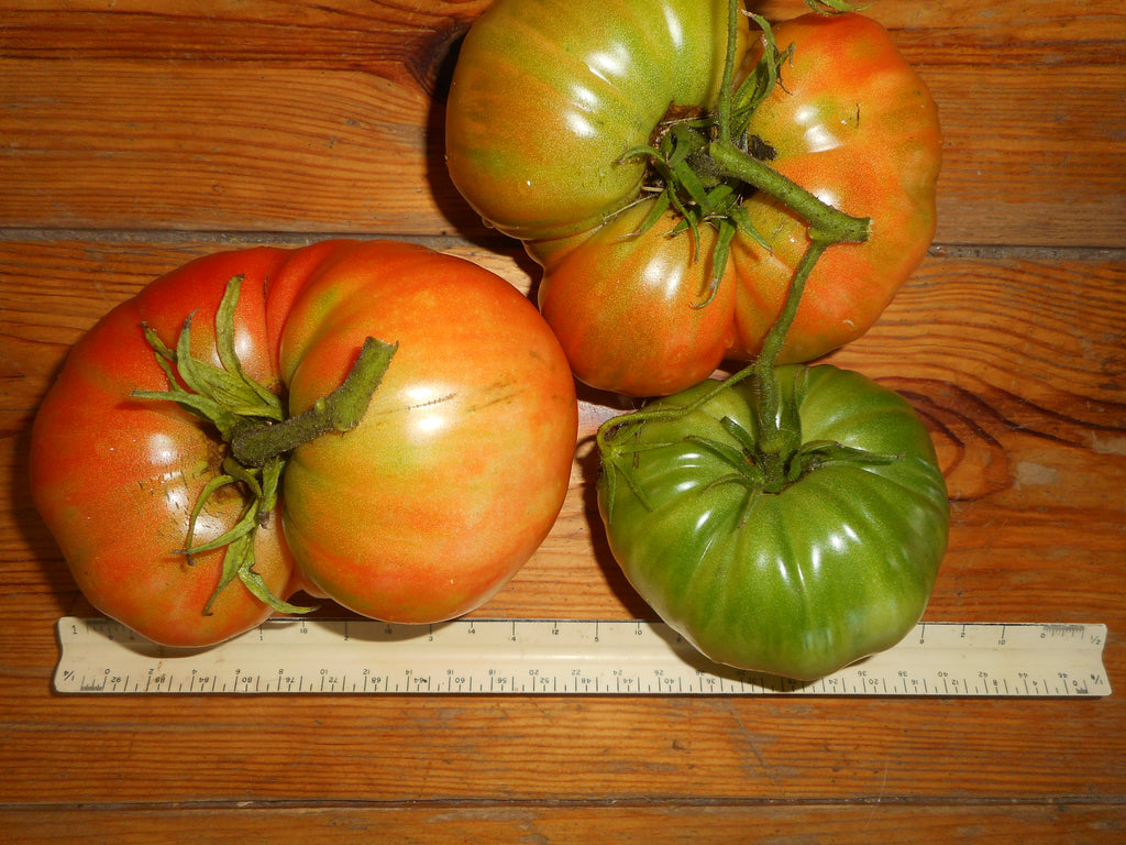 Tomato-Maureen Moore (Organic)