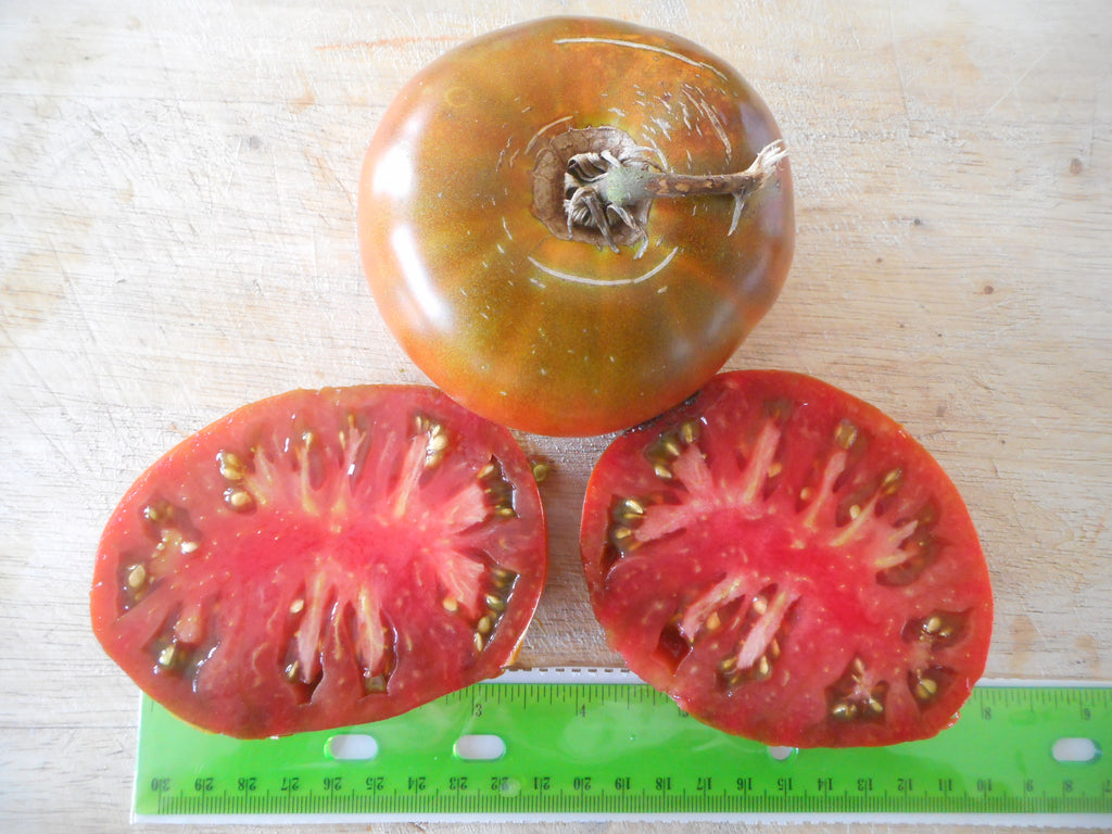 Tomato-Paul Robson (Organic)