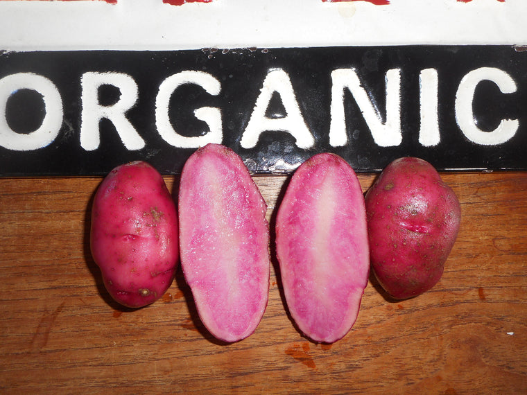 Potato-Amarosa (Organic)