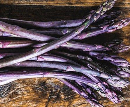 Asparagus- Sweet Purple