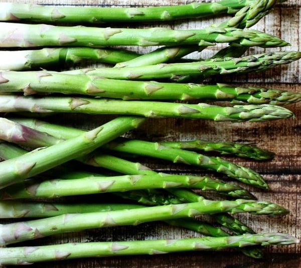 Asparagus Roots Canadian Organic Seed Company