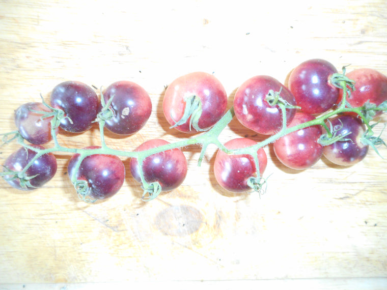 Tomato-Black Pearl (Organic)