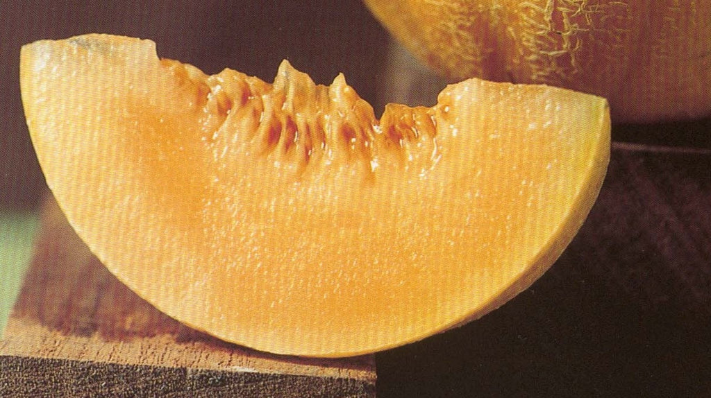 Cantaloupe-Minnie Me Melon (Organic)