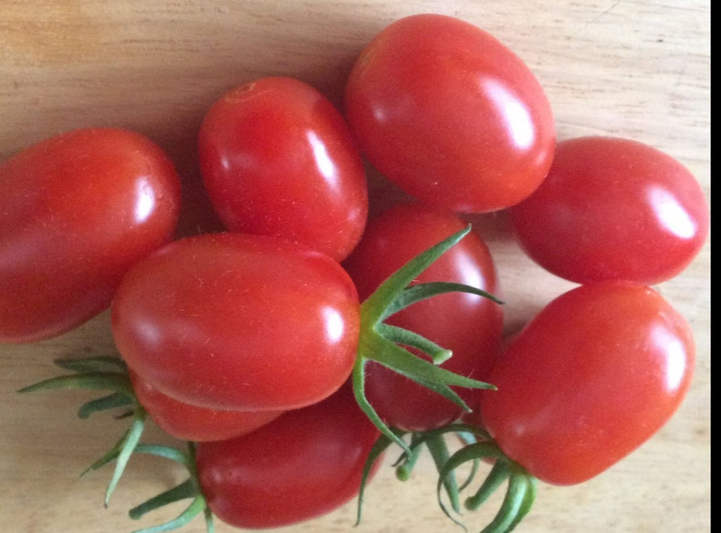 Tomato-Cherry-Resilient