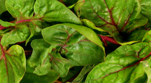 Spinach-Red thread