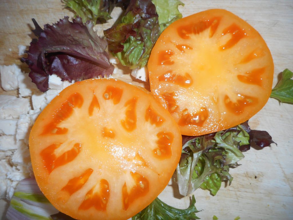 Tomato- Heirloom Yellow (Organic)