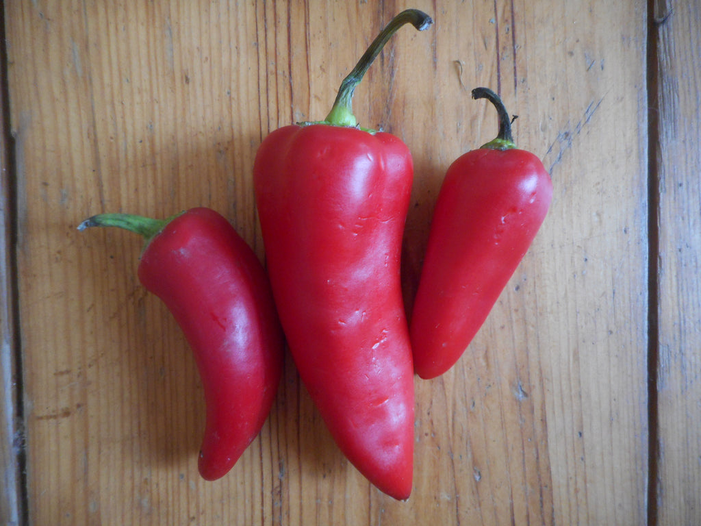 Pepper, Red Ringer  (organic)