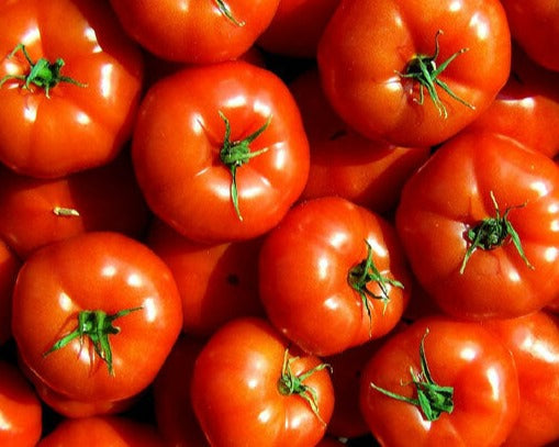 Tomato-Marglobe (Organic)