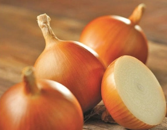 Onion-Tuff  (Organic)