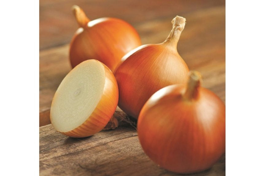 Onion-Cooking-1 pound (bulb starts)