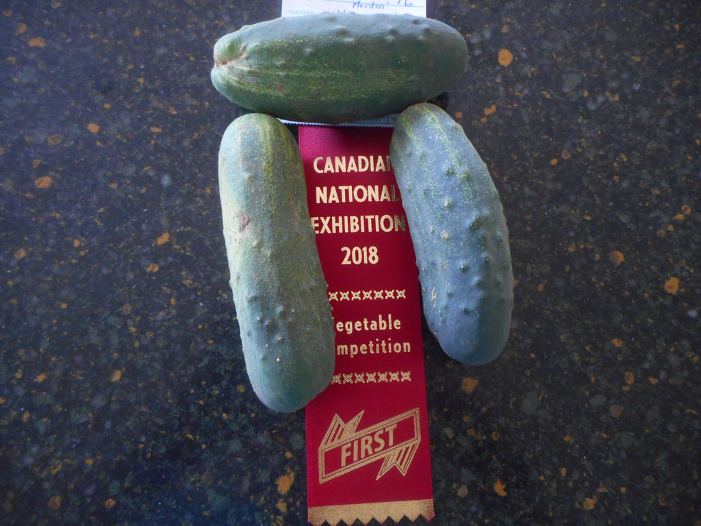 Cucumber- Some Good Pickle (organic)