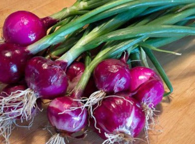 Onion-Mini Purple Specialty (Organic)