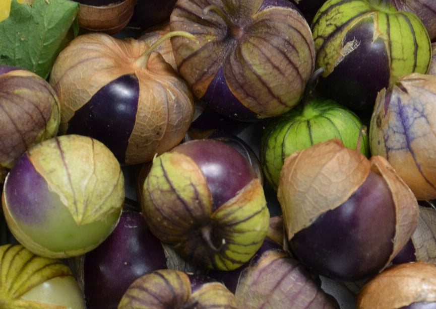 Tomatillo-Purple (Organic)