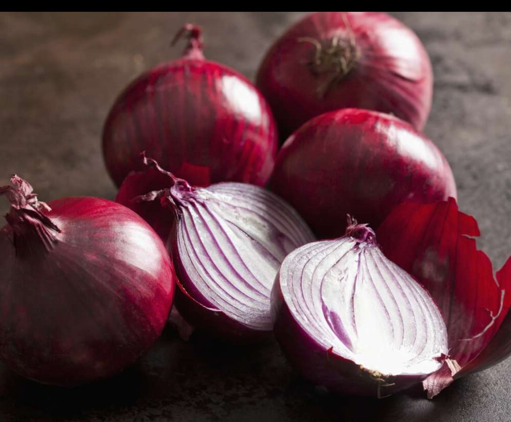 Onion-Red (bulb starts)-1 pound