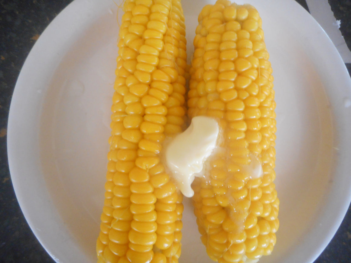 Corn-Honey Drip- sh2 open-pollinated (Organic)