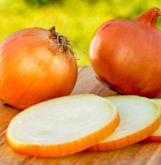 Onion-Large Sweet Spanish-bulb starts- 1 pound
