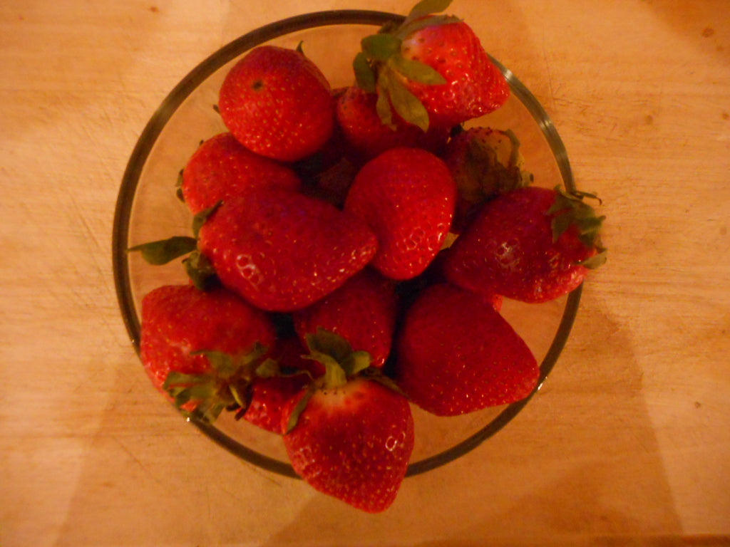 Strawberry-AC Wendy-plants