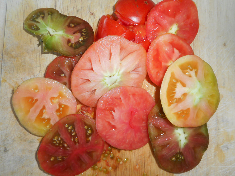 Tomato-Beefsteak all colors mix (Organic)